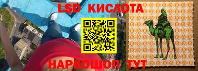 индика Кунгур
