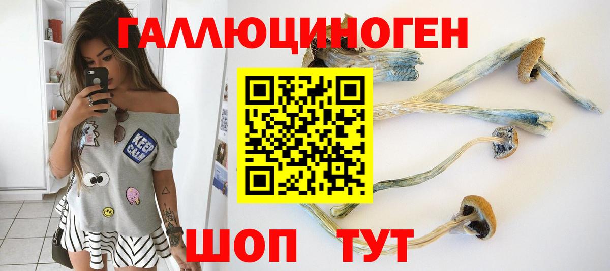 Псилоцибиновые грибы Psilocybine cubensis Королёв